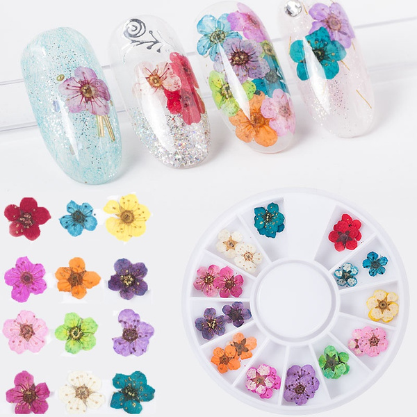 S.A.V.I 6 Grids Box Shell Flakes Sequins Glitter Nail Art Accessories -  Trending Fashion Decoration DIY Manicure for Women Girls : Amazon.in: Beauty